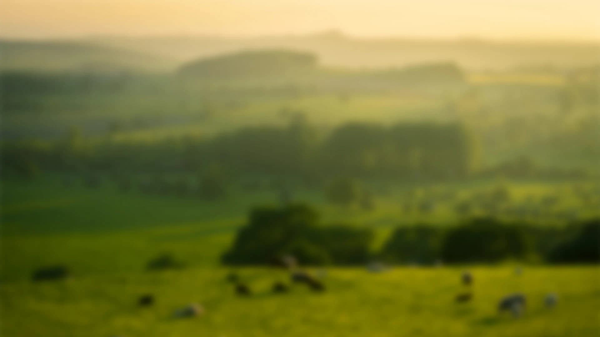 background-teaser