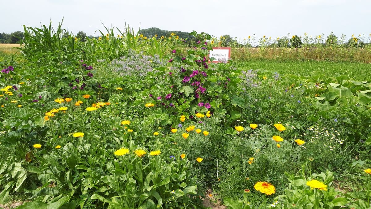 Naturhof Beerhues Gallerie Bild 1