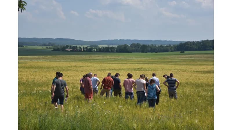 Landmacher GmbH Gallerie Bild 2