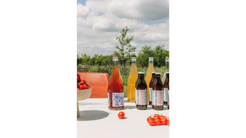 BOUCHE • KOMBUCHA Gallerie Bild 8
