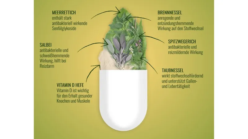 BIO & VEGAN Immun+ Vitamin D und 5 Heilkräuter 90 Kapseln  von Luxidum GmbH Gallerie Bild 7