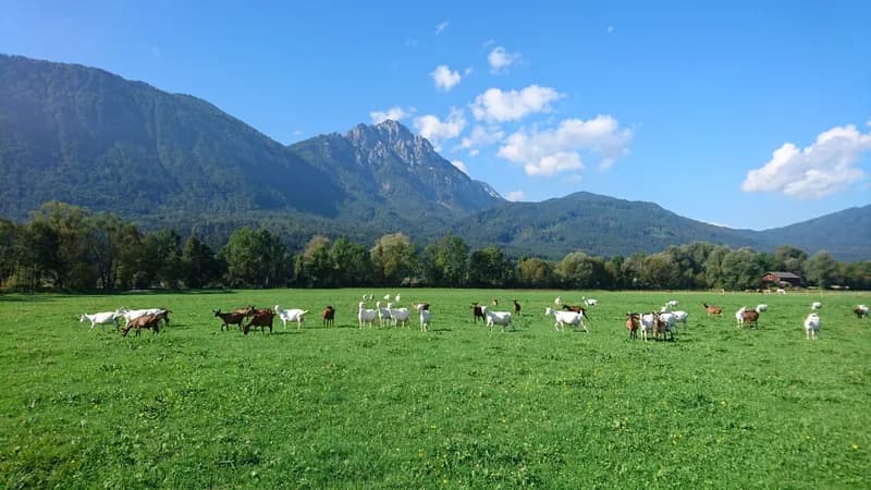 Klingerhof Gallerie Bild 2