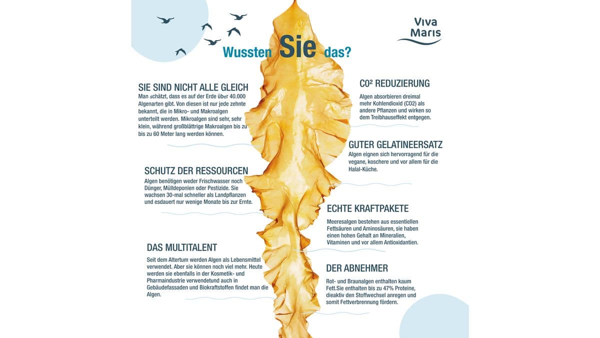Viva Maris GmbH Gallerie Bild 3