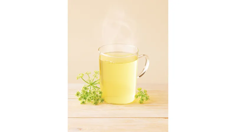 Fenchel