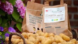 Produkt