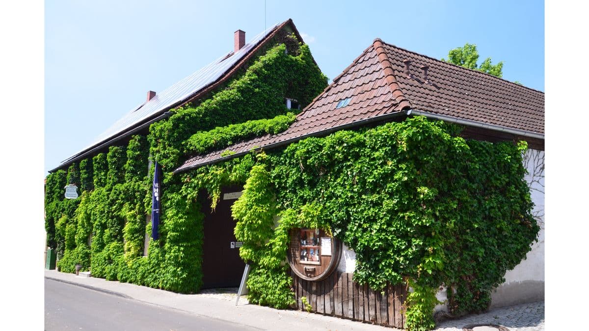 Öko-Weingut Arndt F. Werner Vorschau