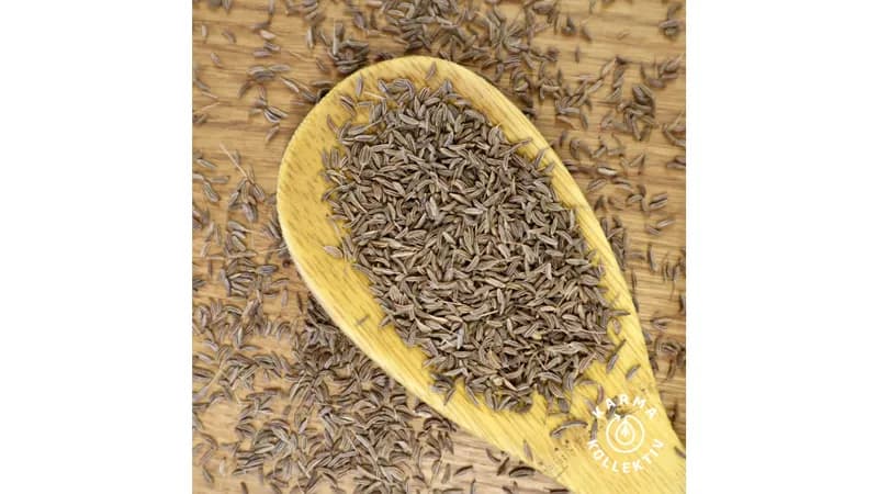 Großgebinde Bio-Kümmel ganz von KarmaKollektiv Gallerie Bild 1