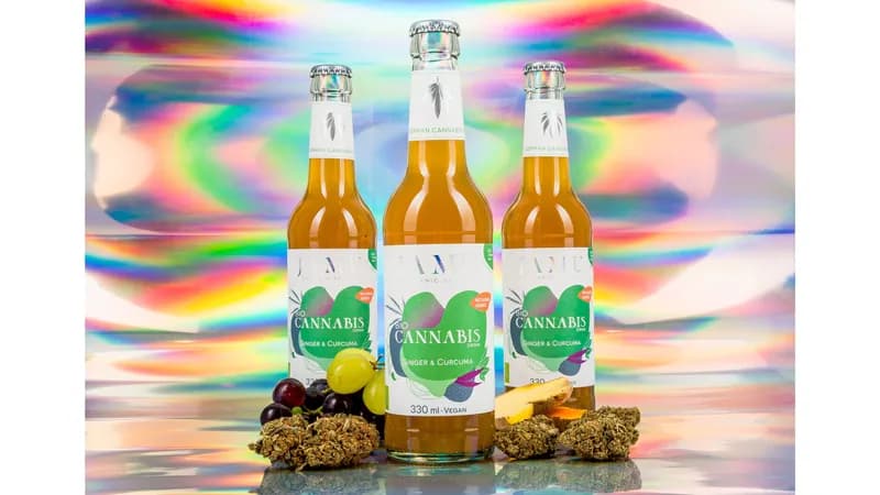 JAMU BIO Cannabis Drink 330ml von JAMU GmbH Gallerie Bild 1