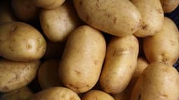 Kartoffeln
