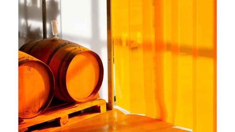 BOUCHE • KOMBUCHA Gallerie Bild 3
