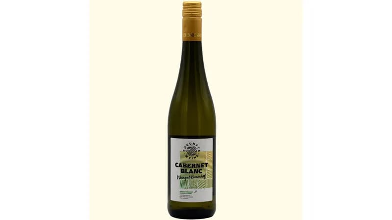 2022 Cabernet blanc Zukunftswein trocken von Bio-Weingut KRONENHOF Gallerie Bild 1