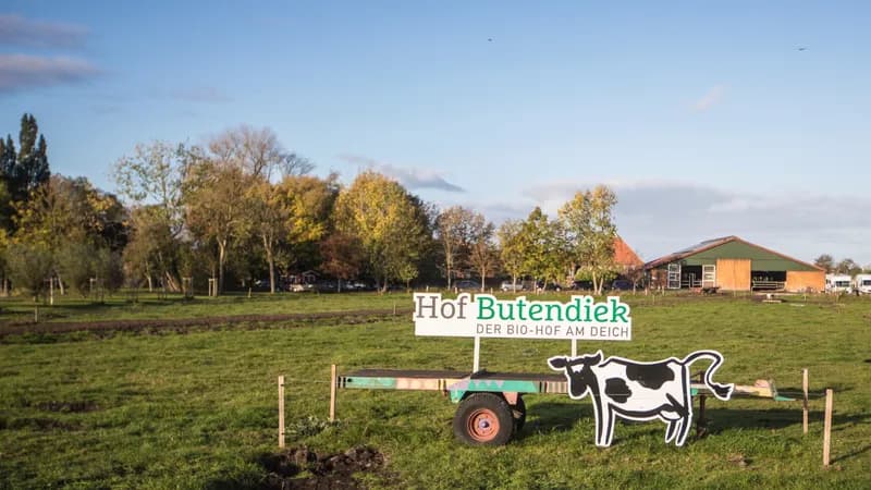 Hof Butendiek Vertriebs GmbH Gallerie Bild 1