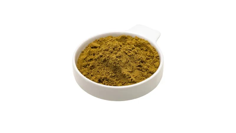 Bio Hanfprotein 200g