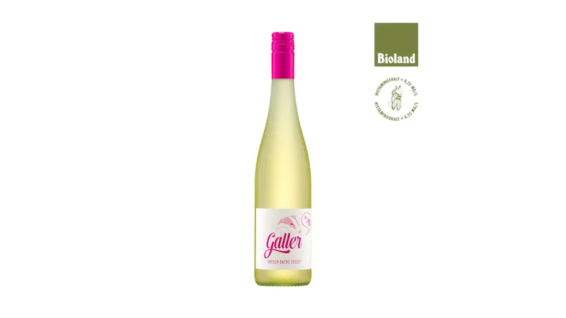 Galler FRESCH DACHS SECCO trocken, vegan, histamingecheckt von Weingut Ansgar Galler Gallerie Bild 1