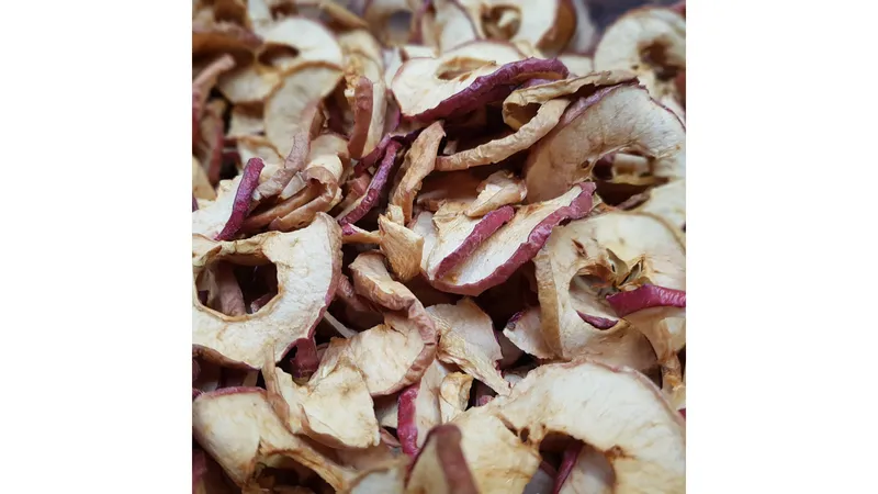 Bio Apfelchips 10,00 kg (4x 2,5 kg)