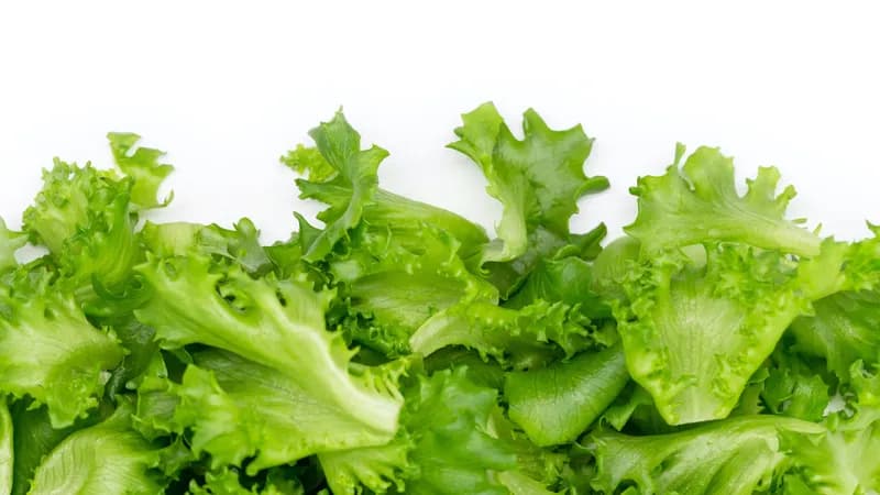 Salate