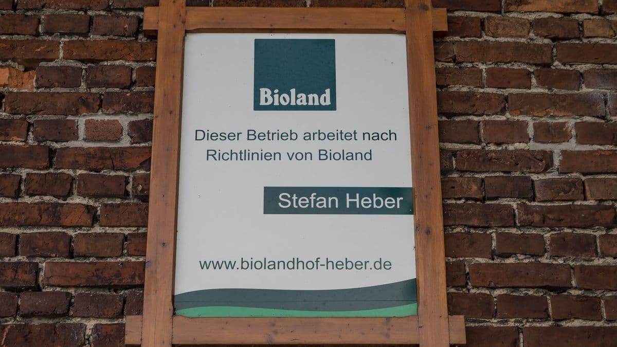 Biolandhof Heber Gallerie Bild 5