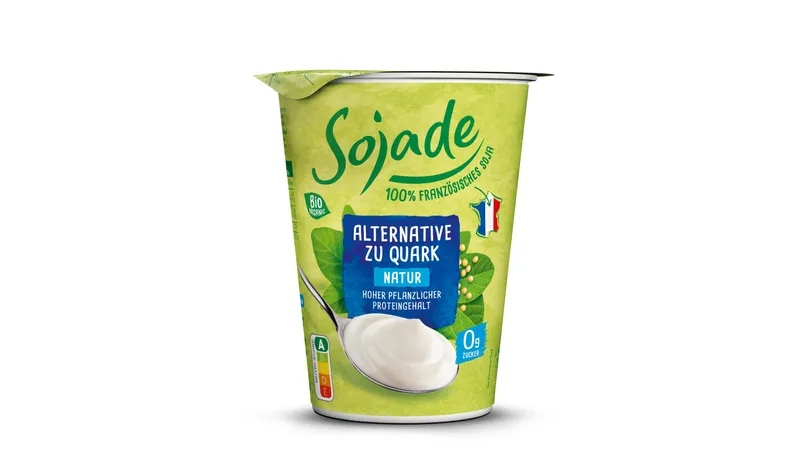 Fermentierte Bio Alternative zu Quark aus Soja - Natur