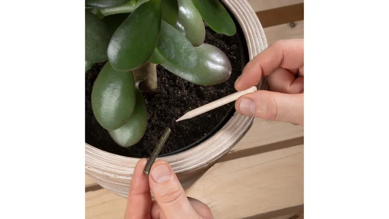 KleePura BioDüngestäbchen aus 100% Bio-Klee und Bio-Luzerne (Naturland)