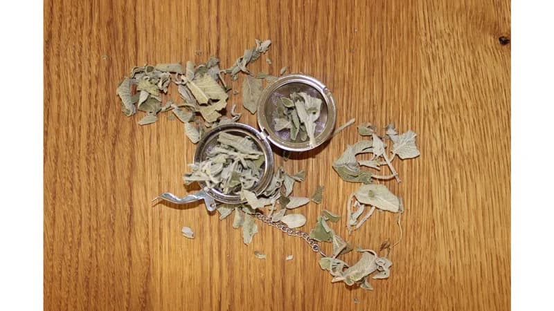 Großgebinde Bio-Salbeitee