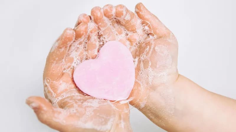Gesundheit & Hygiene