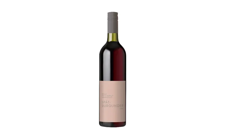 Bio Rheinhessen Spätburgunder Rotwein trocken 0,75 L, Basic Linie