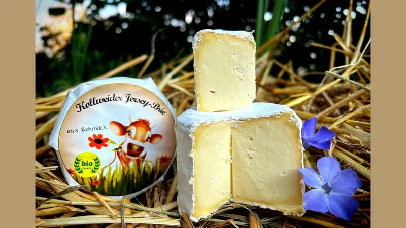 Kollweider Jersey Brie von Kollweider Hof Gallerie Bild 1