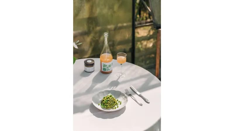 BOUCHE • KOMBUCHA Gallerie Bild 7