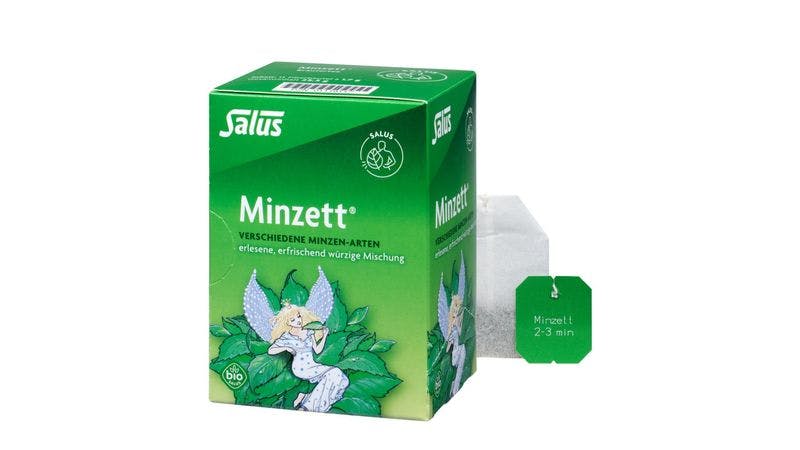 Salus® Minzett® Kräutertee bio 15 FB