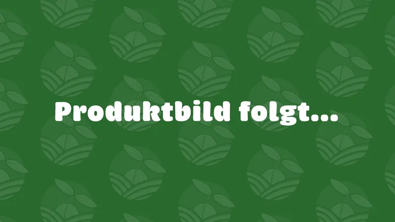 Kürbis, Hokkaido, 800-1200 gr