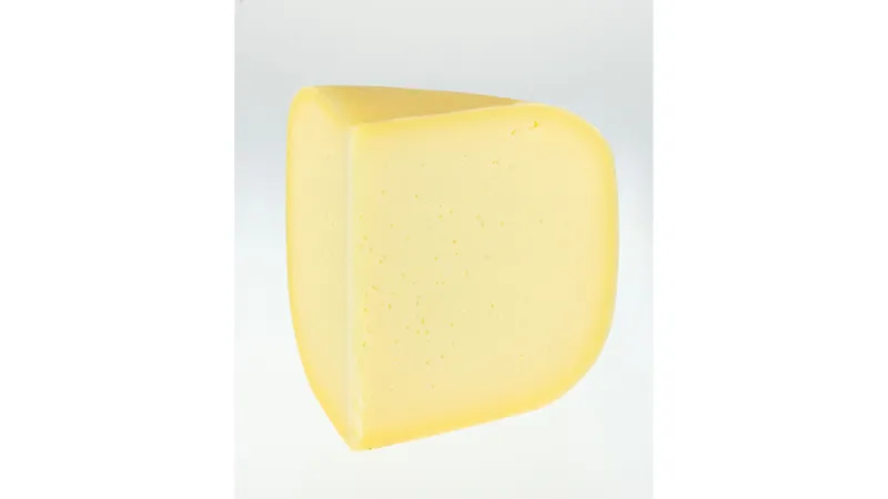 Butendieker Schnittkäse Knoblauch von Hof Butendiek Vertriebs GmbH Gallerie Bild 1