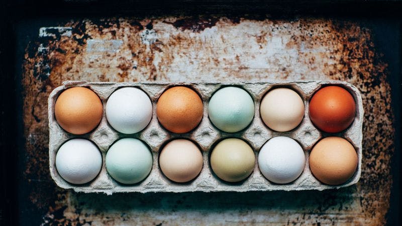 Eier von Rassehühnern