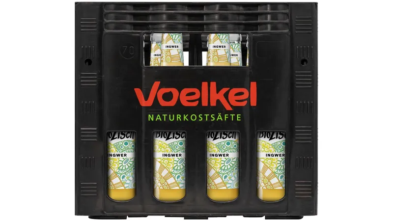 BioZisch Ingwer