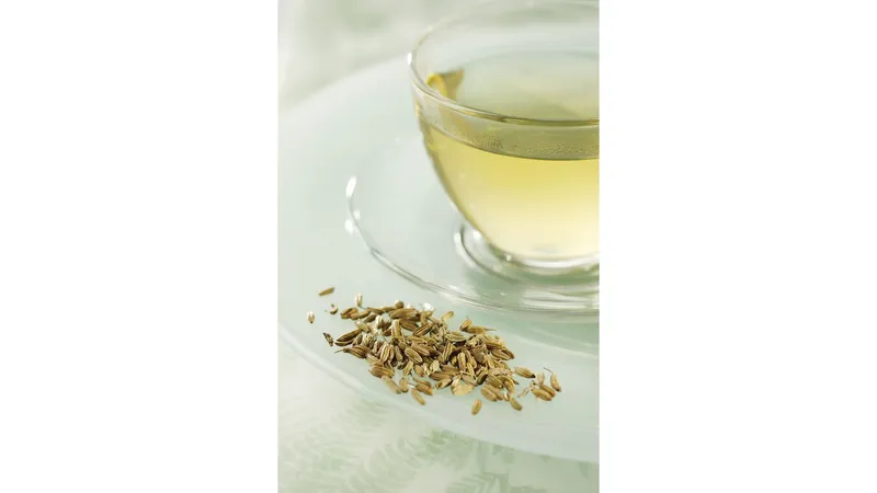 Fenchel