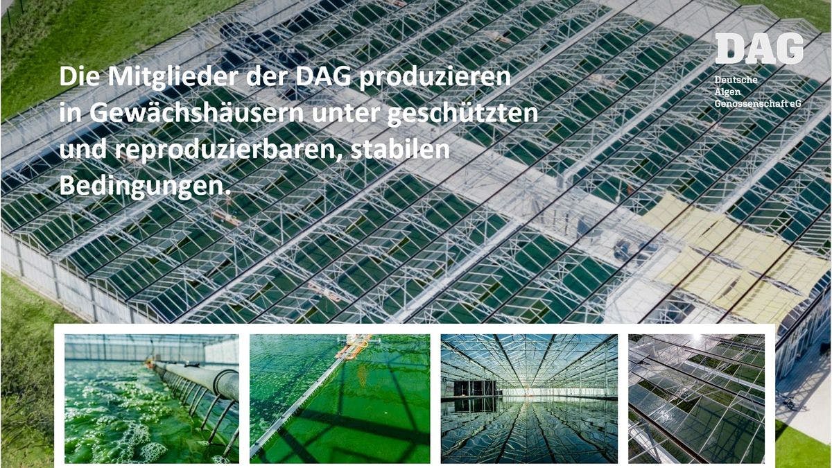 Deutsche Algen Genossenschaft eG Profil