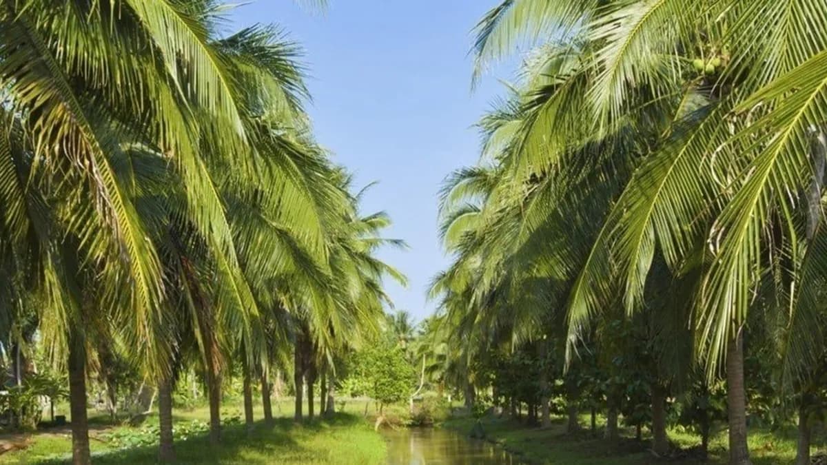 BIOASIEN GmbH Profil