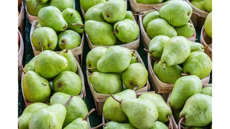 Birnen, Conference 65+ von Hubert Bois Naturkost und Warenhandels GmbH Gallerie Bild 3