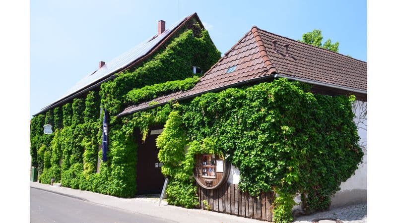 Öko-Weingut Arndt F. Werner
