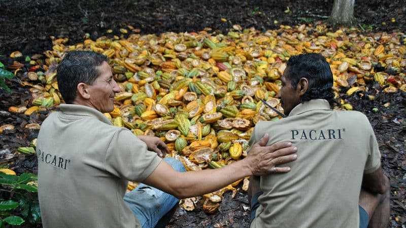 PACCARI Schokolade