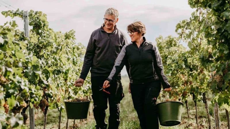 Weingut Ansgar Galler