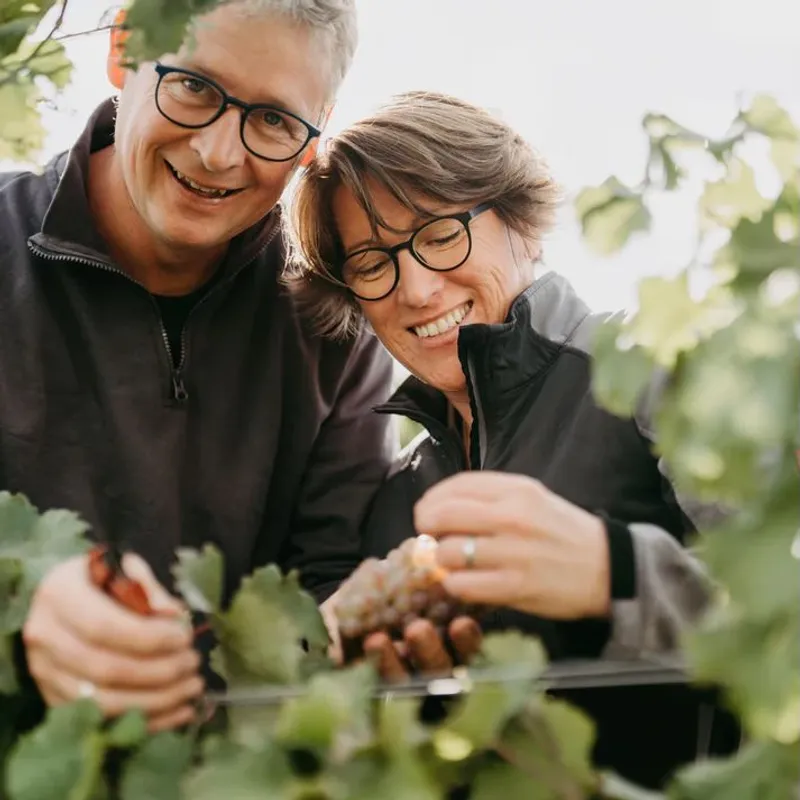 Weingut Ansgar Galler Teaser