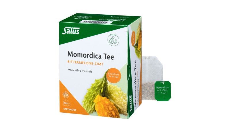 Momordica mit Zimt Tee bio 40 FB