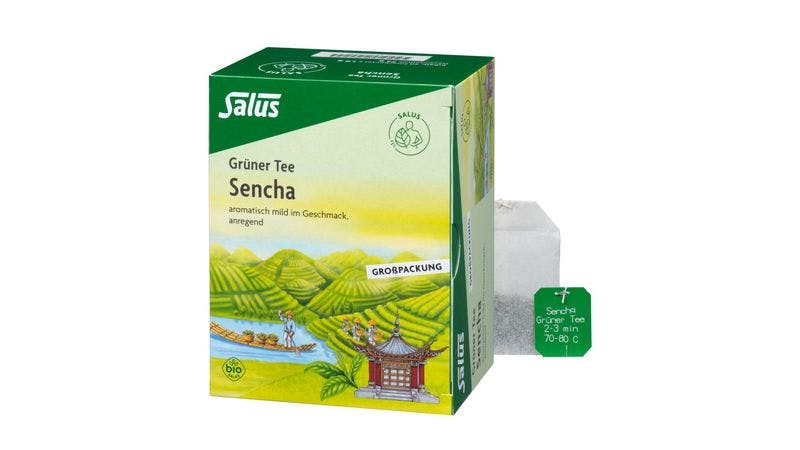 Grüner Tee Sencha bio 40 FB