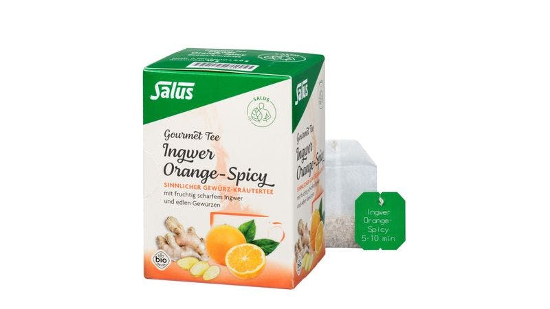 Salus® Gourmet Orange-Spicy Ingwer Tee bio 15 FB