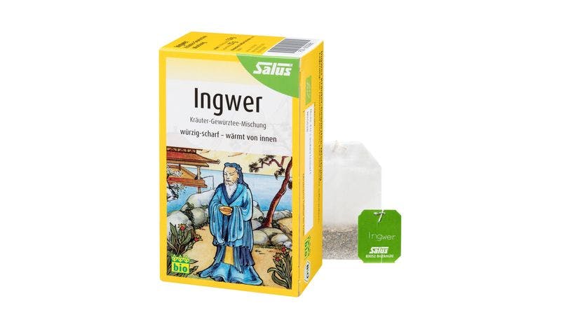Ingwer Kräuter-Gewürztee-Mischung bio 15 FB