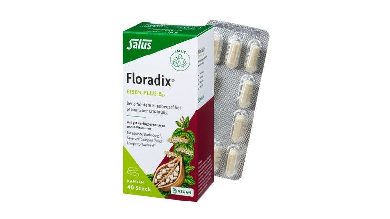 Salus® Floradix® Eisen pl. B12 vegan 40Kps
