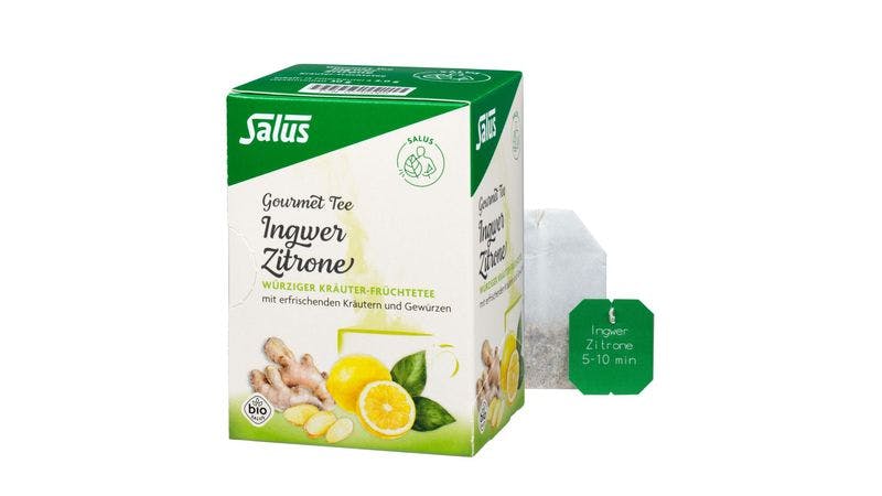 Salus® Gourmet Ingwer Zitrone Kräutertee bio 15 FB